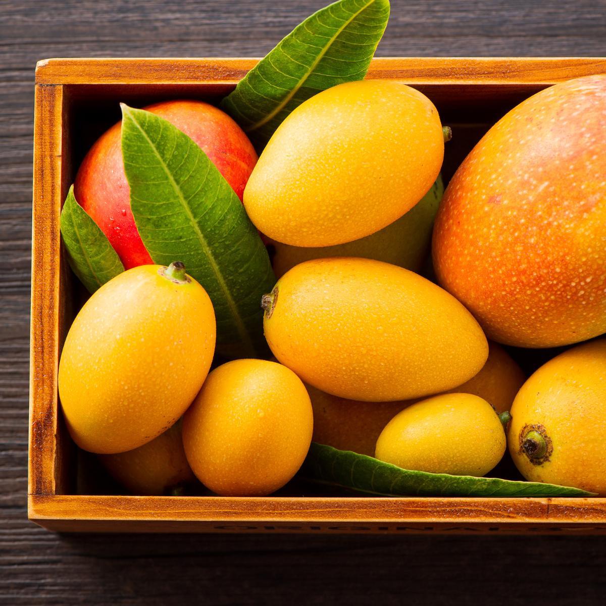 Buy Fresh Organic Mangoes Directly from Farms – Reddy's