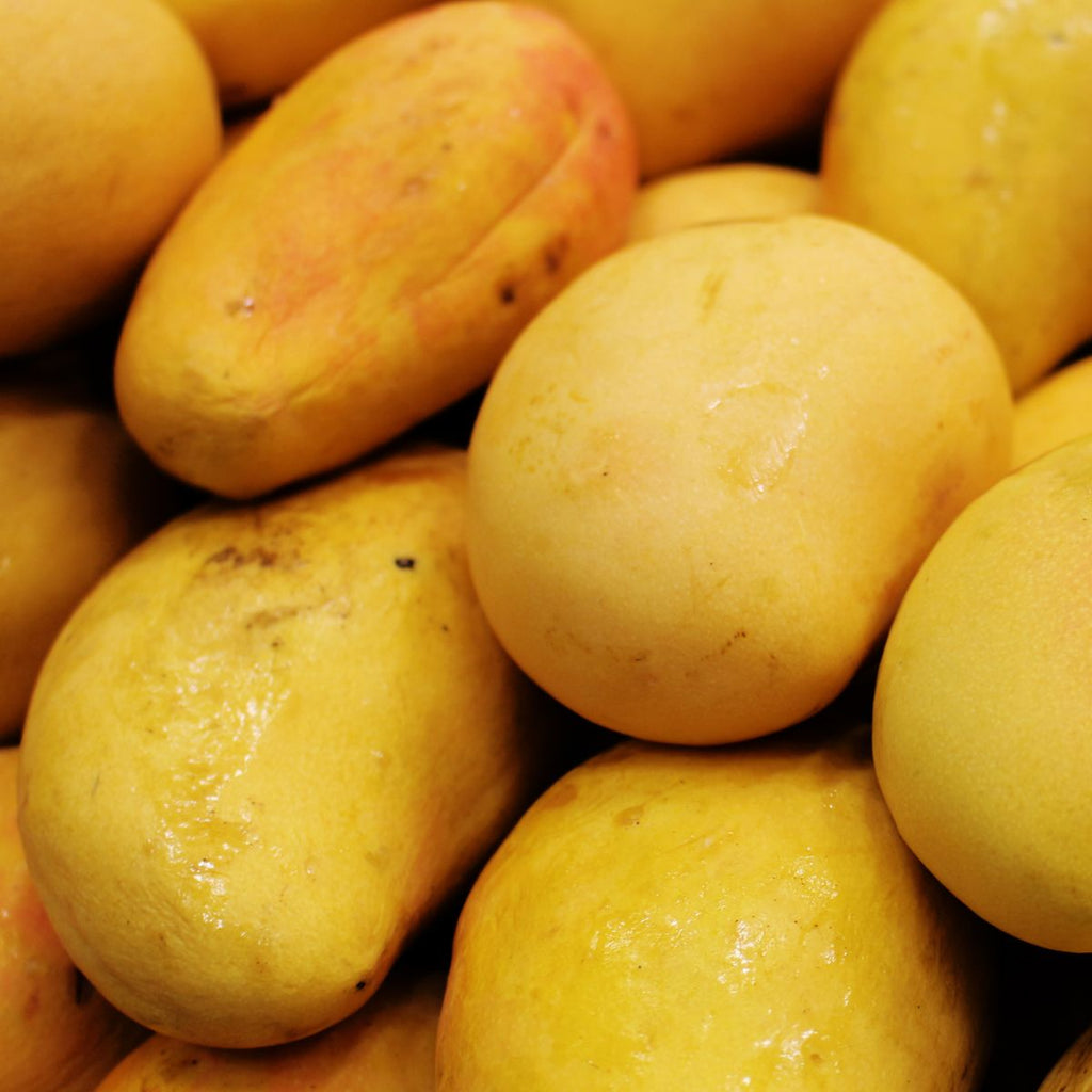 Buy Indian Alphonso Mangoes in USA